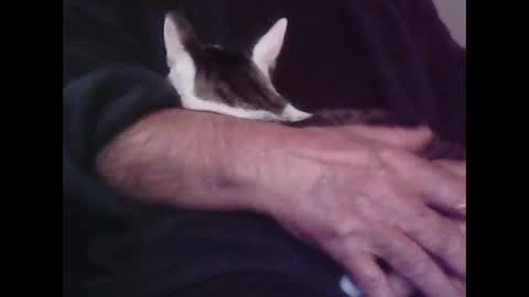 Hooz2no online show from 12, 10, 2025