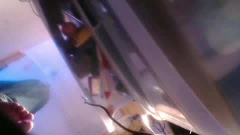 forestnymphpdx online show from 31, 12, 2024