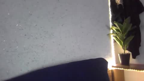 fox_red_lady7 online show from 8, 2, 2025