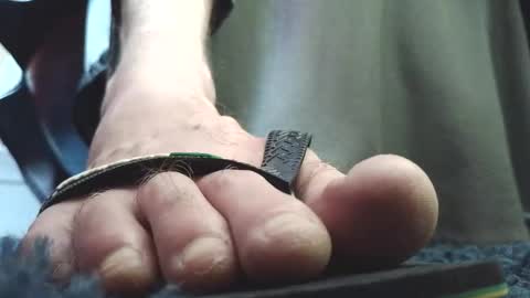 Snapshot of fredthetom12 chatting on 4, 2, 2026 Greedy Fred online show from 4, 2, 2026