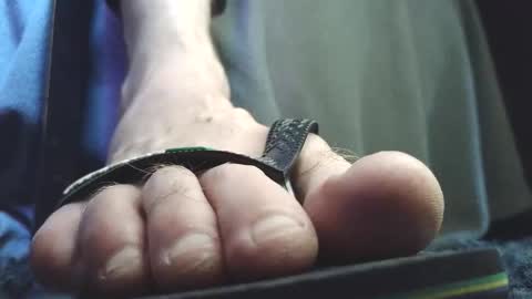 Snapshot of fredthetom12 chatting on 5, 2, 2026 Greedy Fred online show from 5, 2, 2026