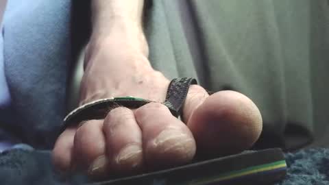 Snapshot of fredthetom12 chatting on 18, 2, 2026 Greedy Fred online show from 18, 2, 2026