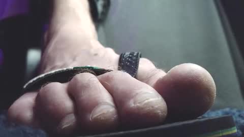 Snapshot of fredthetom12 chatting on 20, 2, 2026 Greedy Fred online show from 20, 2, 2026