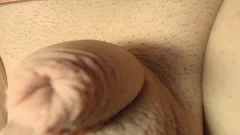 Meadow online show from 7, 3, 2026