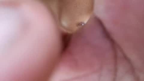 Snapshot of frey212121 chatting on 17, 2, 2025 Phantom online show from 17, 2, 2025