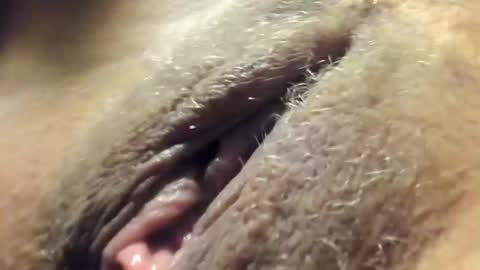 Snapshot of frumcake chatting on 30, 12, 2024 FrumCake online show from 30, 12, 2024