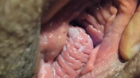 Snapshot of frumcake chatting on 4, 1, 2025 FrumCake online show from 4, 1, 2025