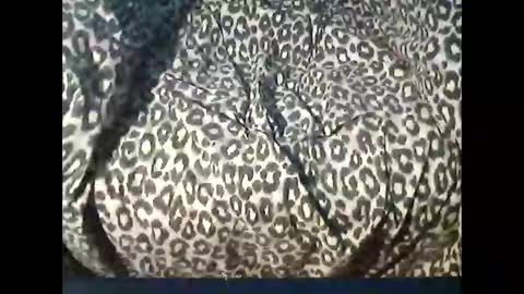 funcyman3 online show from 15, 4, 2026