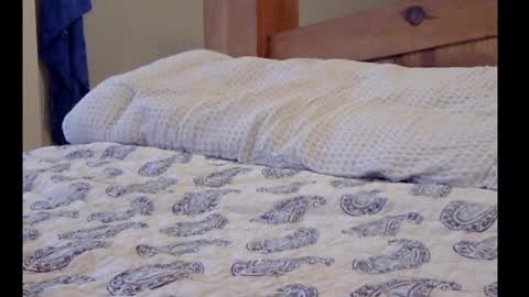 Funtimz16 online show from 3, 3, 2025