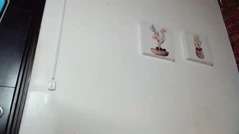 Snapshot of fyreandfox_ chatting on 4, 3, 2025 FIRE AND FOX online show from 4, 3, 2025