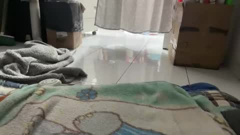 gab021593 online show from 16, 1, 2026