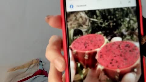 Snapshot of gabriela_duarte chatting on 19, 1, 2025 Gabi online show from 19, 1, 2025