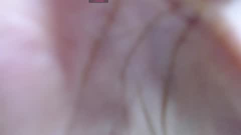 Snapshot of gabriela_morales01 chatting on 12, 12, 2024 .  online show from 12, 12, 2024