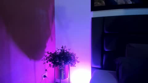 GahiaBelucci online show from 6, 3, 2026