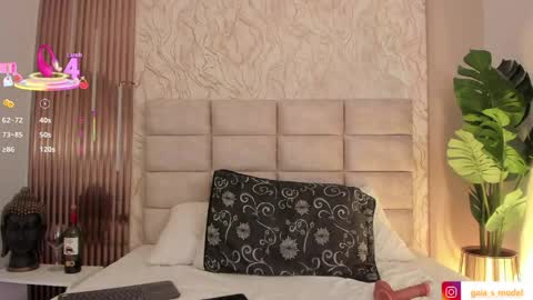 Snapshot of gaia_stonne chatting on 1, 4, 2026 gaia_stonne online show from 1, 4, 2026