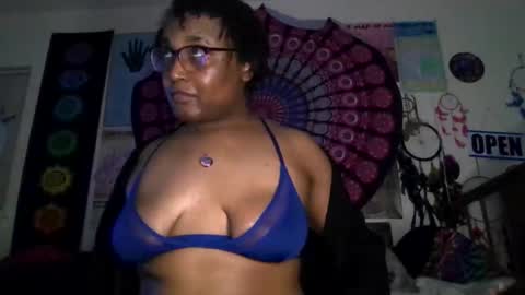 Gardenia online show from 11, 3, 2026