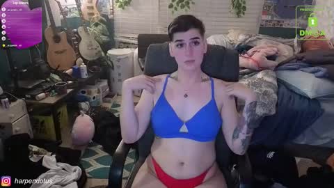 Snapshot of garthvoncoole chatting on 4, 12, 2025 HarperxLotus online show from 4, 12, 2025