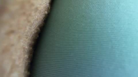 Snapshot of gauchabrasileira chatting on 17, 12, 2024 Monique online show from 17, 12, 2024