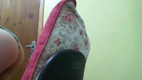 Snapshot of gauchabrasileira chatting on 31, 12, 2024 Monique online show from 31, 12, 2024