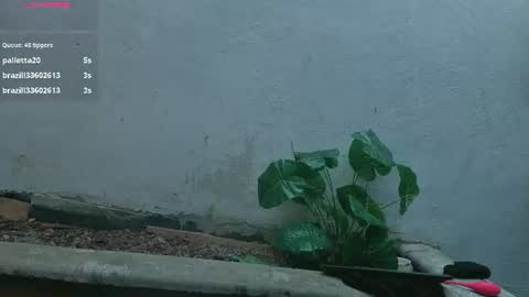 Snapshot of gaviluc_ chatting on 28, 7, 2026 gaviluc_ online show from 28, 7, 2026