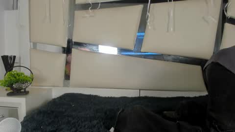 Genesis online show from 17, 11, 2025