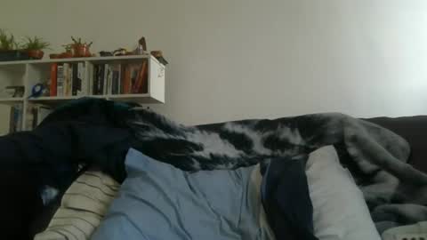 Geon online show from 27, 3, 2026