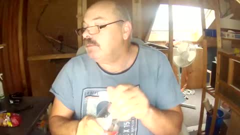 germany_50 online show from 3, 12, 2024