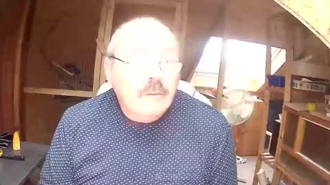 germany_50 online show from 6, 12, 2024