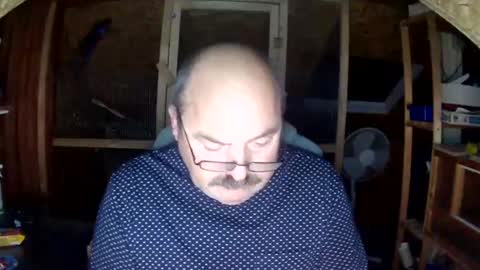 germany_50 online show from 8, 12, 2024