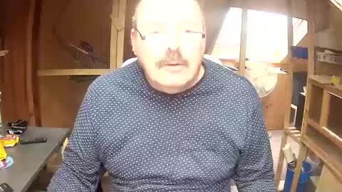 germany_50 online show from 9, 12, 2024
