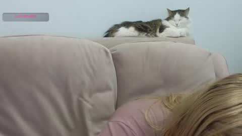 Gerta online show from 20, 2, 2026