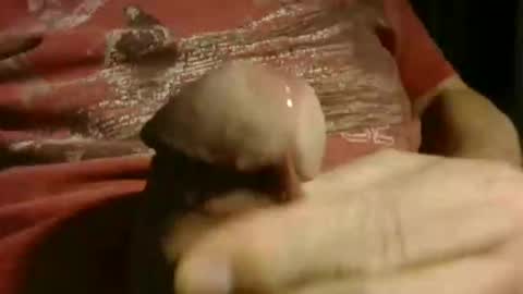 Snapshot of gettingstiff chatting on 12, 1, 2026 gettingstiff online show from 12, 1, 2026