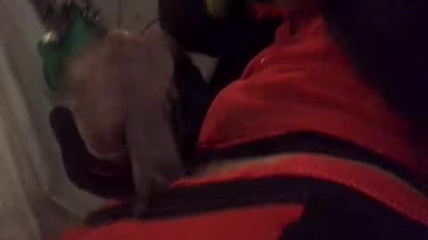 ghallofino26 online show from 5, 2, 2026