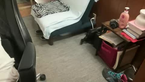 ghostboygbc online show from 16, 4, 2026