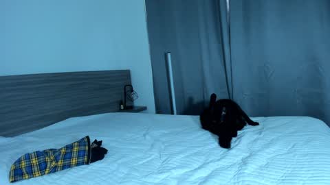 Snapshot of giannasue chatting on 11, 1, 2025 giannasue online show from 11, 1, 2025