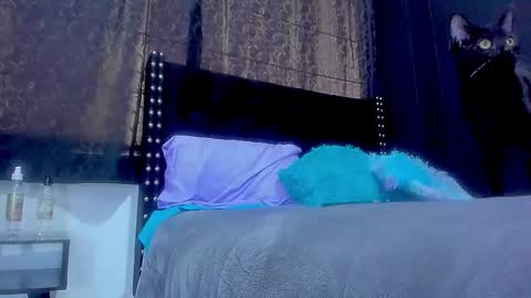 Miss online show from 29, 9, 2025