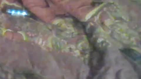 lovegirlscallme online show from 17, 1, 2026