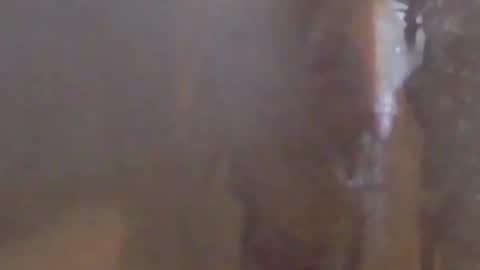 lovegirlscallme online show from 7, 3, 2026