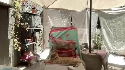 Gl1tter Barbie online show from 22, 11, 2025