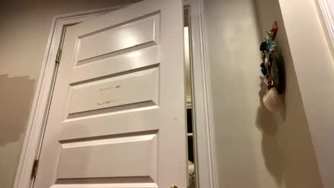 Snapshot of glegere18 chatting on 24, 10, 2025 Lets get wierd online show from 24, 10, 2025