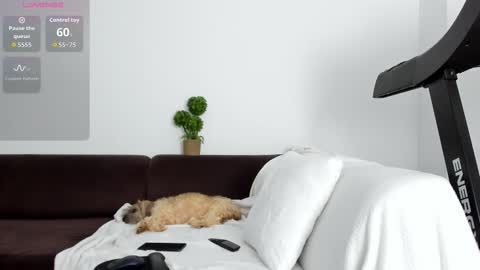 Alice online show from 17, 1, 2026