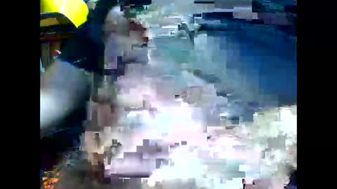 PencilDick online show from 21, 11, 2025