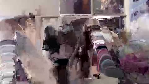 black  white online show from 24, 3, 2026