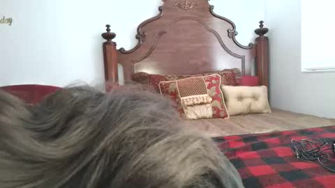 Xandra The Goddess online show from 19, 3, 2026