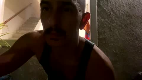 Snapshot of gofoxgo40 chatting on 11, 10, 2025 gofoxgo40 online show from 11, 10, 2025