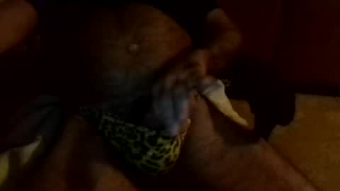 Snapshot of gojo885 chatting on 13, 1, 2025 gojo885 online show from 13, 1, 2025