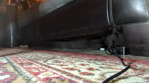 Mistress  Mommy  Godess online show from 25, 1, 2025