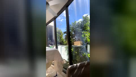 Snapshot of gracemeow chatting on 27, 4, 2026 gracemeow online show from 27, 4, 2026