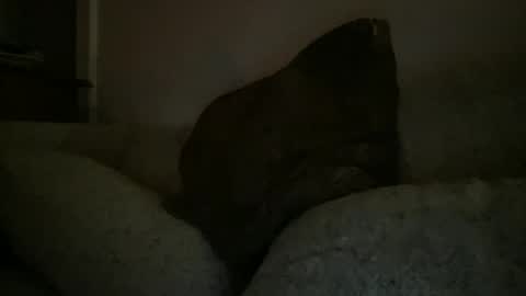 Sonny online show from 25, 12, 2024