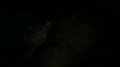 Sonny online show from 11, 10, 2025